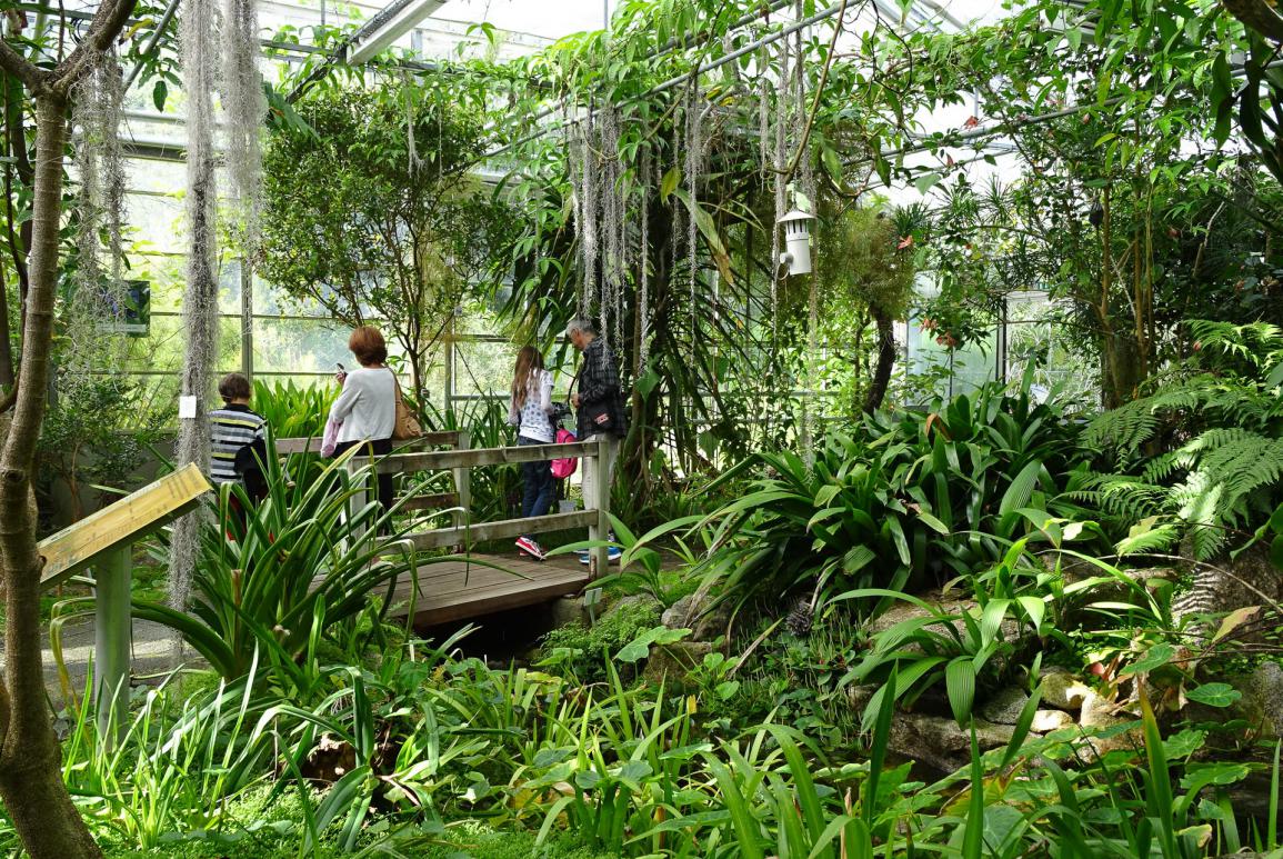 Visiteurs du jardin botanique qui observent des plantes dans une serre - conservatoire botanique national de brest