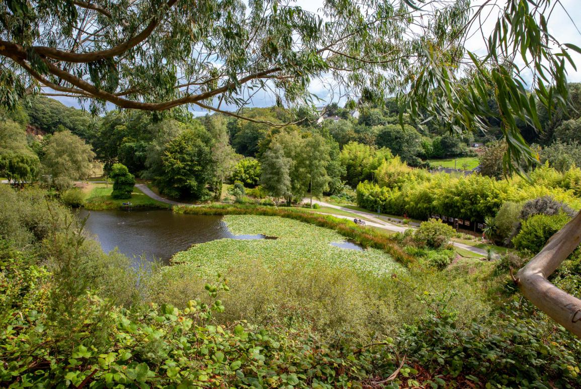 Jardin botanique de Brest - conservatoire botanique national de brest