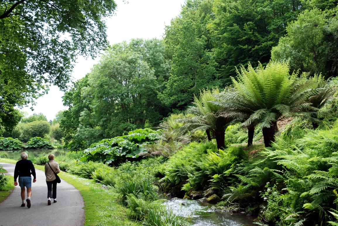 Couple qui se promène dans le jardin botanique de Brest - conservatoire botanique national de brest